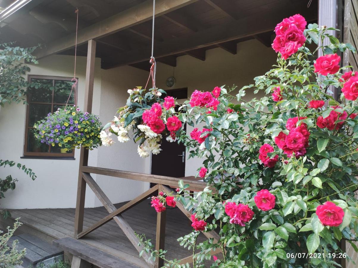 Boutigue City House With Terrace And Garden Free Parking ريغا المظهر الخارجي الصورة