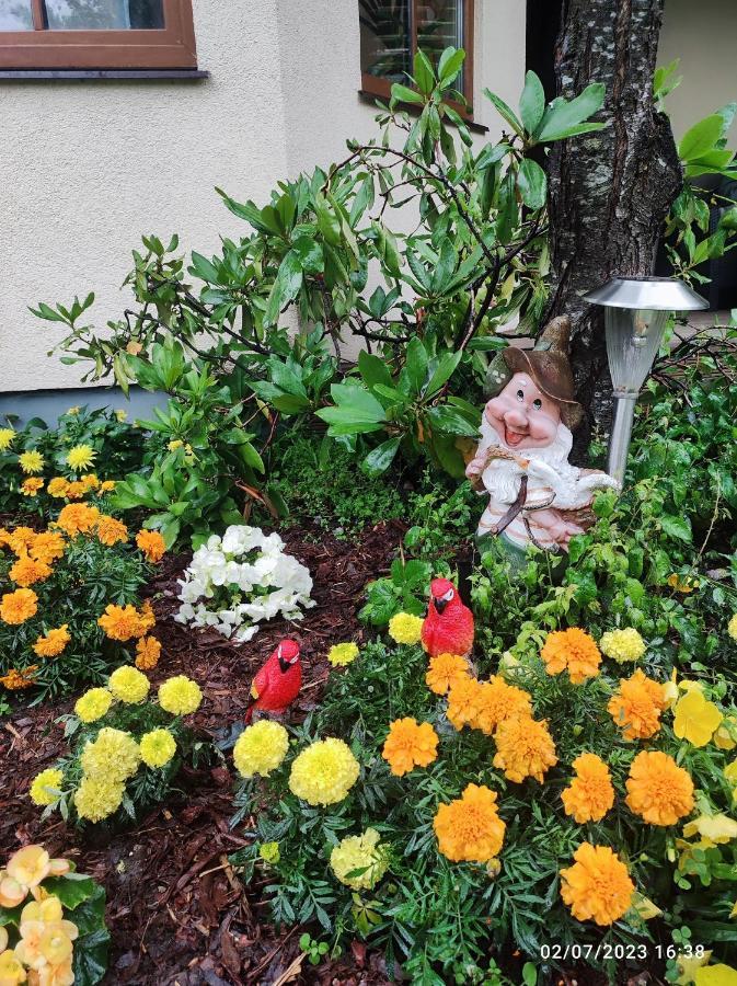 Boutigue City House With Terrace And Garden Free Parking ريغا المظهر الخارجي الصورة